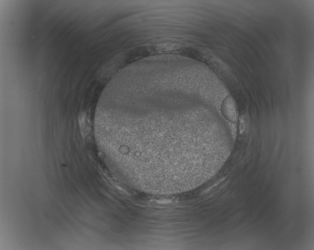 X0000082161011200702092212