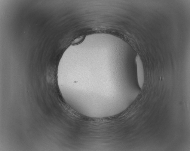 X0000082161012200702092212