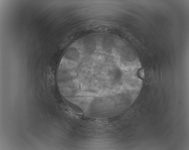 X0000082161013200702092212