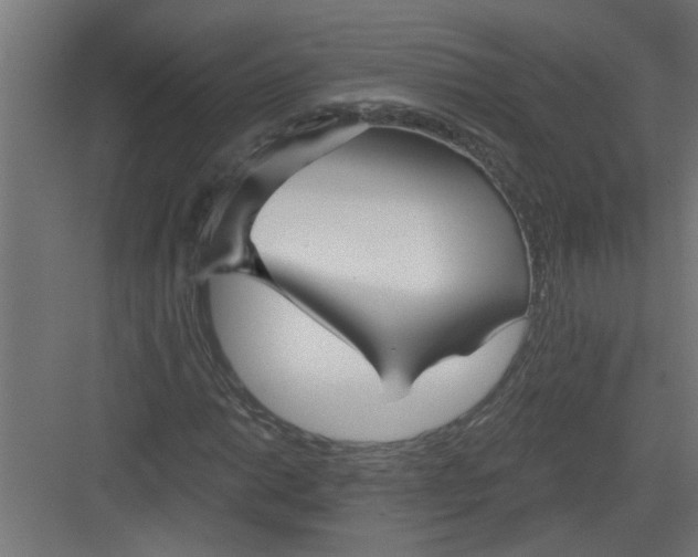 X0000082161014200702092212