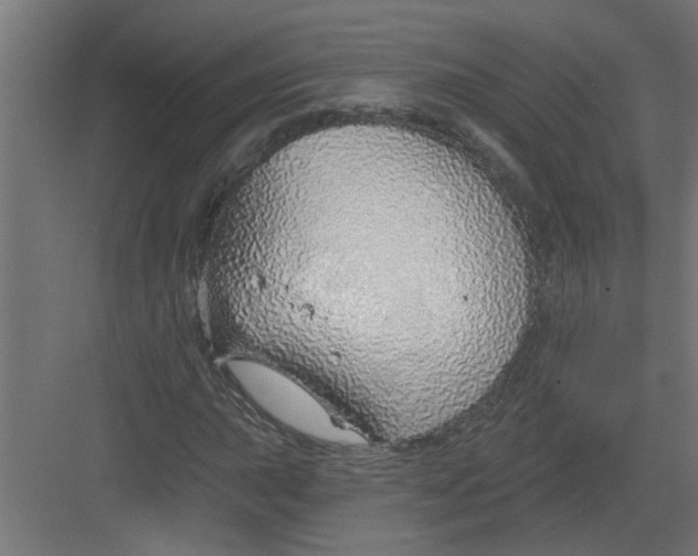 X0000082161015200702092212