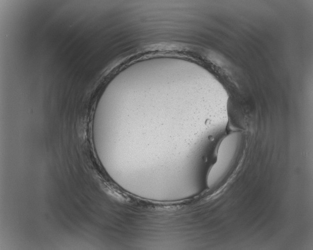 X0000082161017200702092212