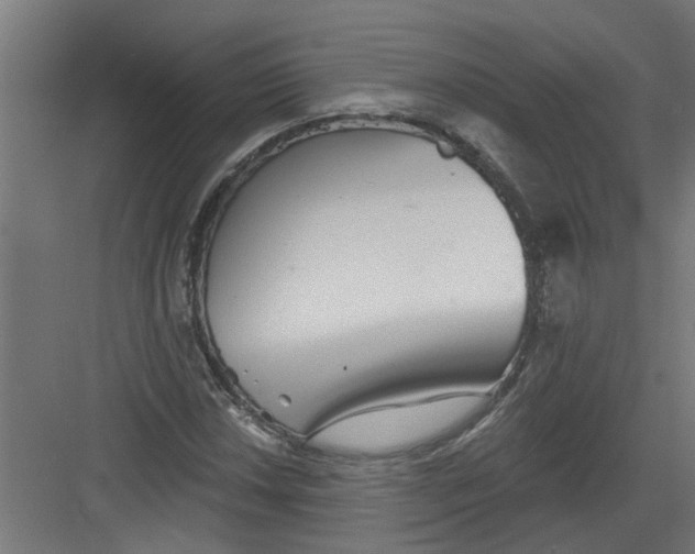 X0000082161018200702092212