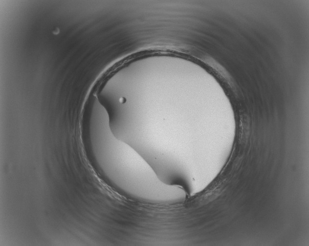 X0000082161020200702092212