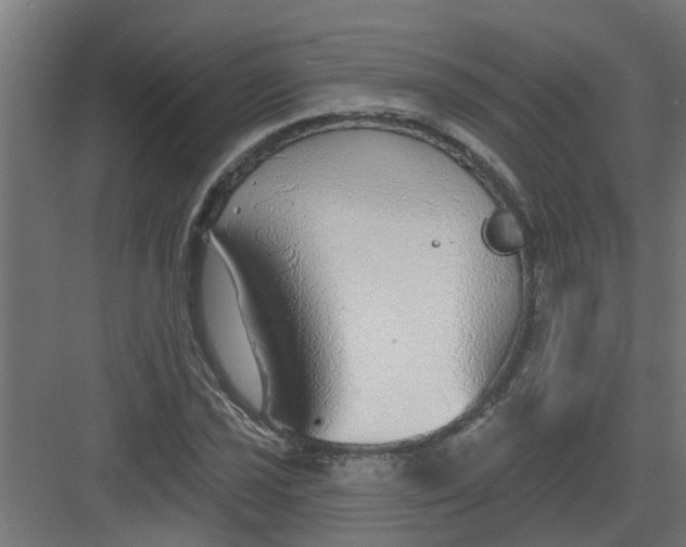 X0000082161021200702092212