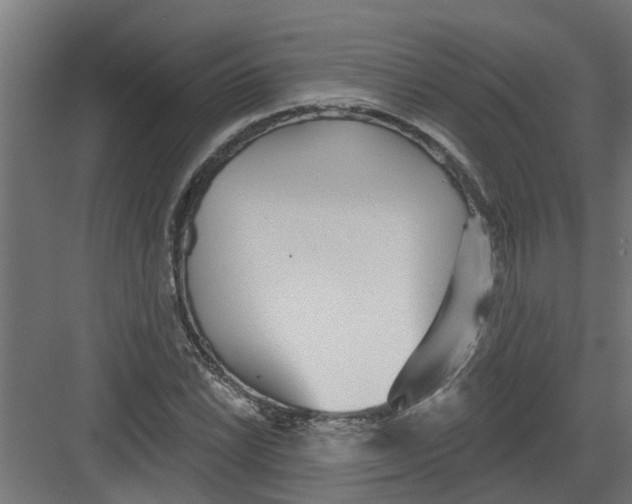 X0000082161022200702092212