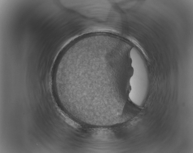 X0000082161024200702092212