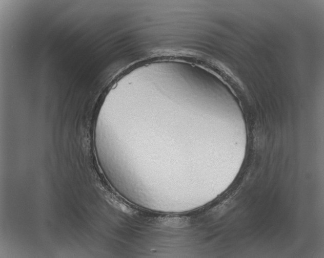 X0000082161025200702092212