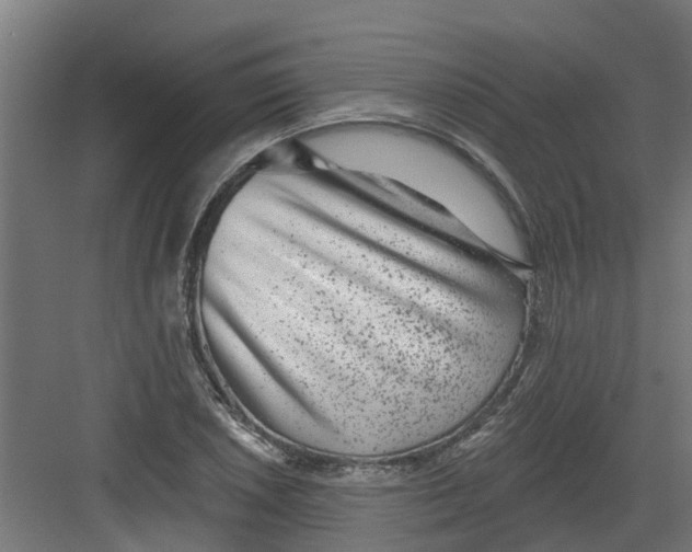 X0000082161026200702092212