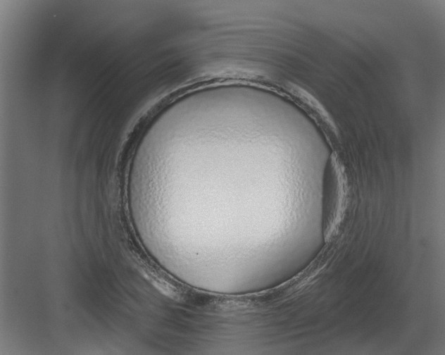 X0000082161027200702092212