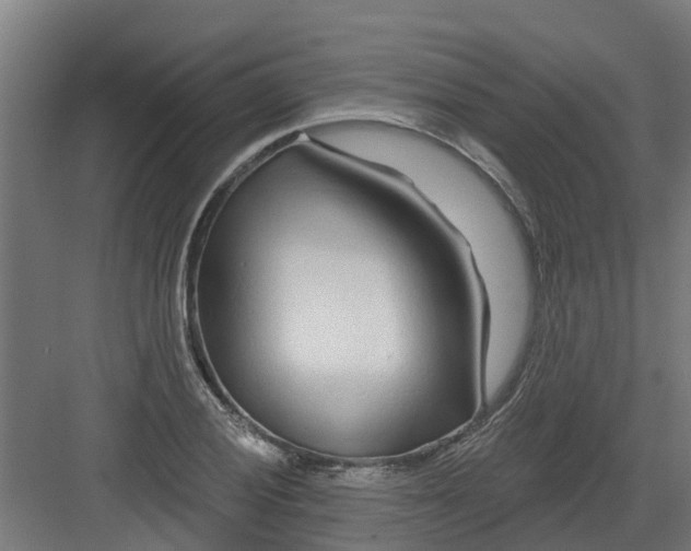 X0000082161028200702092212