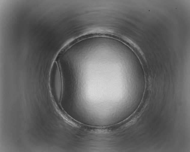 X0000082161029200702092212