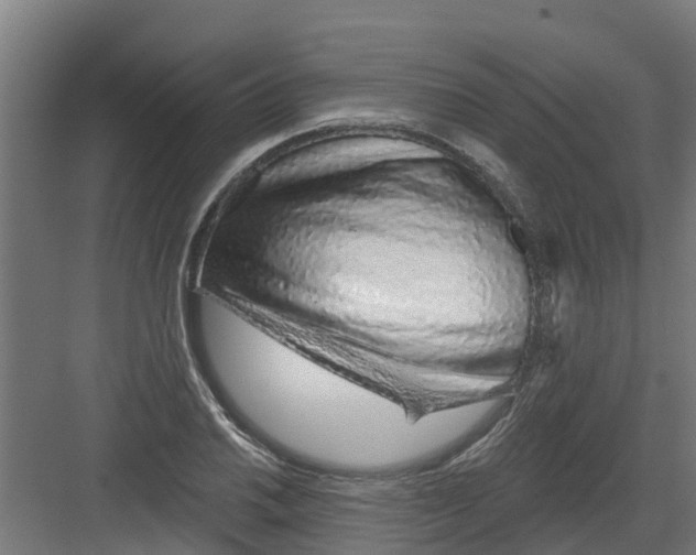 X0000082161030200702092212