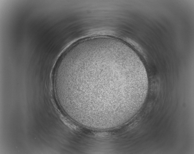 X0000082161031200702092212