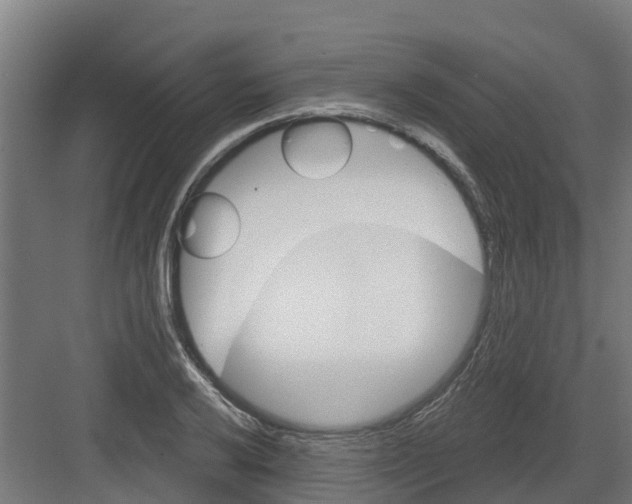 X0000082161032200702092212