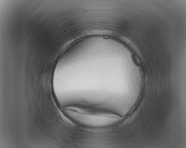 X0000082161033200702092212