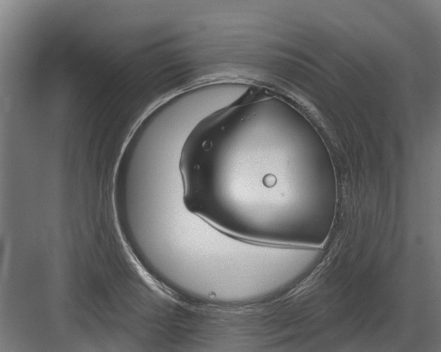 X0000082161034200702092212