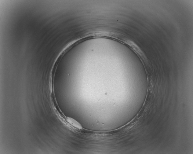 X0000082161036200702092212