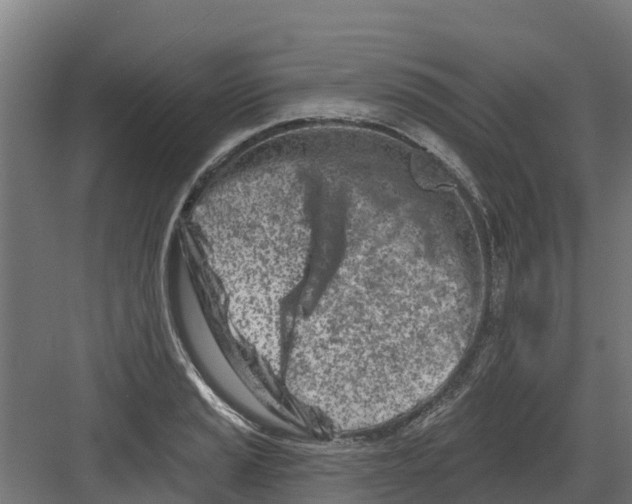 X0000082161037200702092212