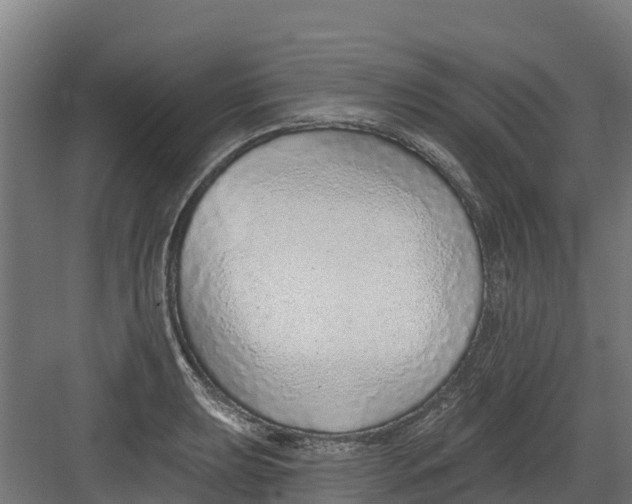 X0000082161039200702092212