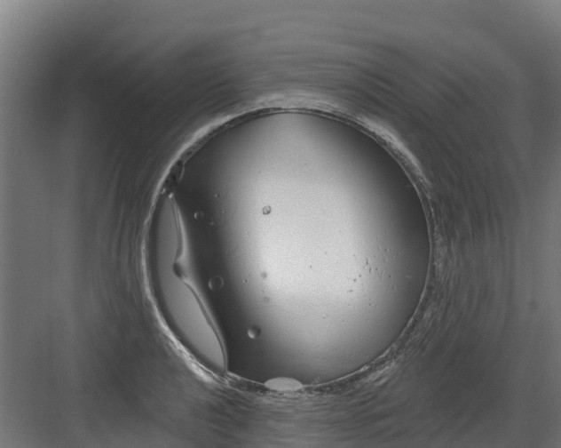 X0000082161040200702092212