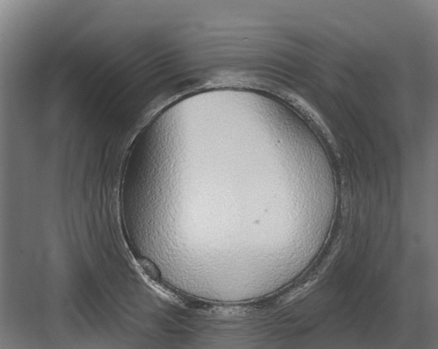 X0000082161041200702092212