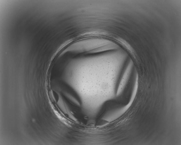 X0000082161042200702092212