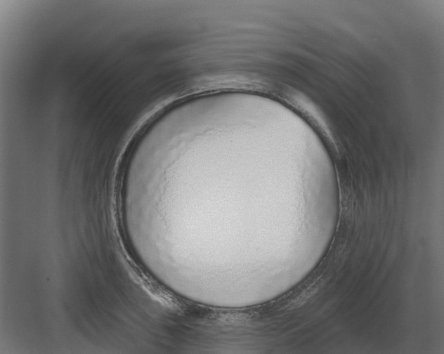 X0000082161043200702092212