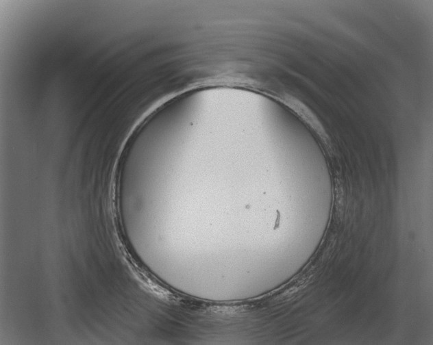 X0000082161044200702092212