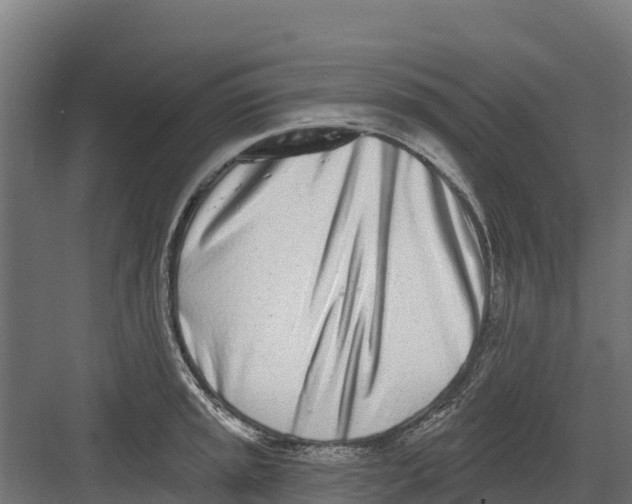 X0000082161045200702092212