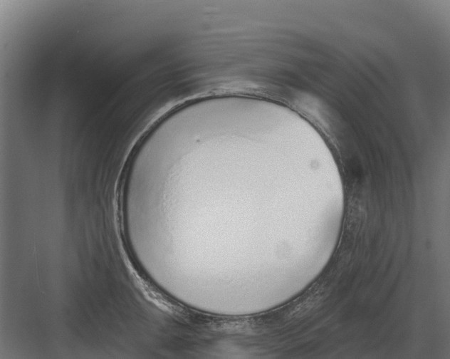 X0000082161047200702092212