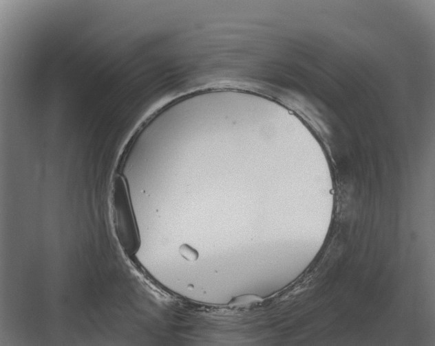 X0000082161048200702092212