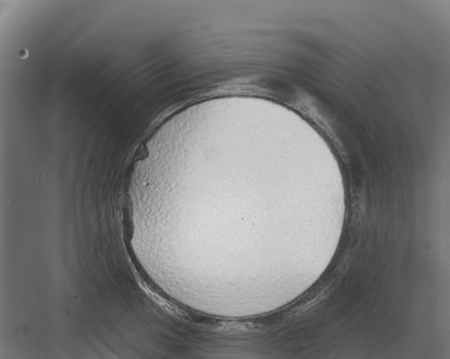 X0000082161049200702092212