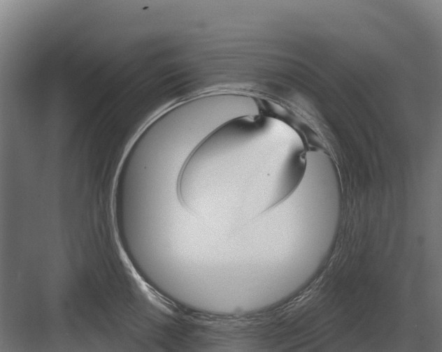 X0000082161050200702092213