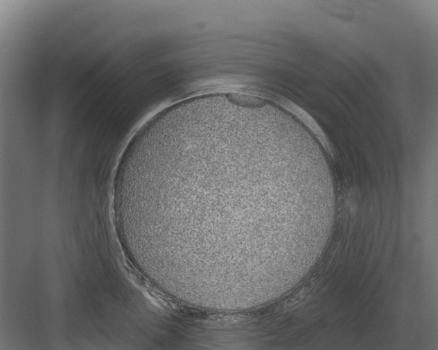 X0000082161051200702092213