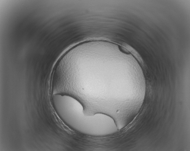 X0000082161052200702092213