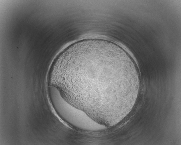 X0000082161053200702092213