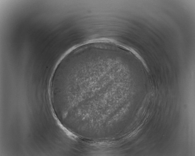 X0000082161054200702092213