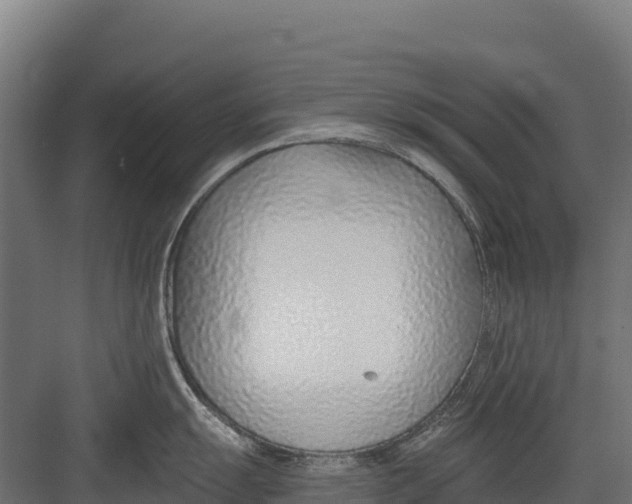 X0000082161055200702092213