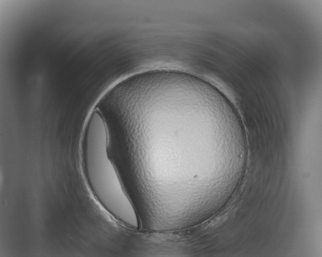 X0000082161056200702092213