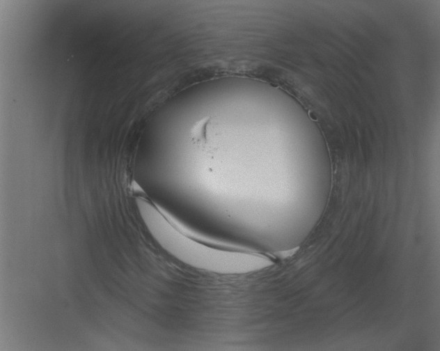 X0000082161058200702092212