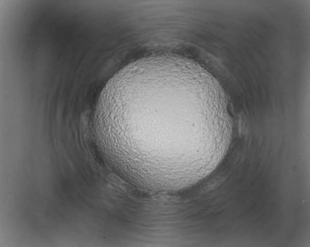 X0000082161059200702092212