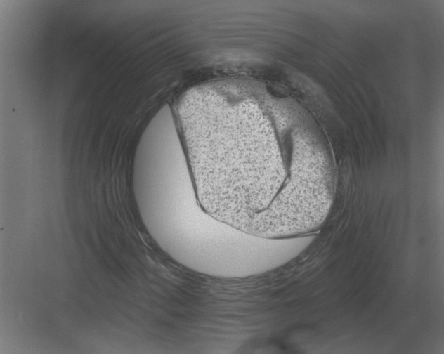 X0000082161060200702092212