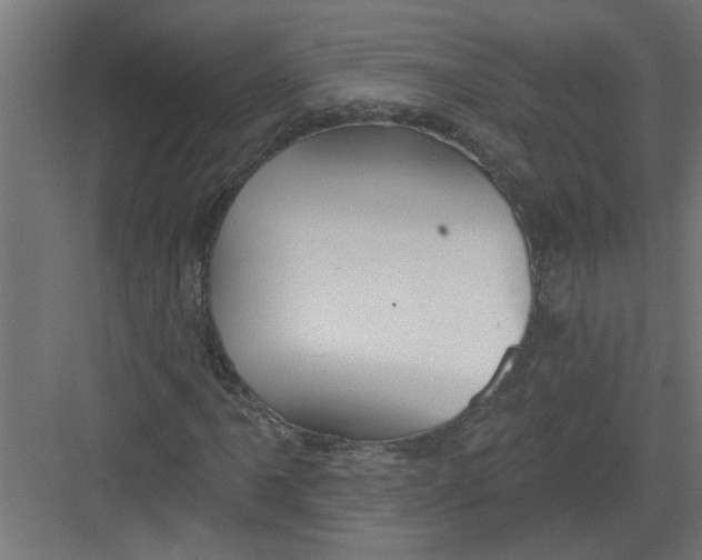 X0000082161061200702092212