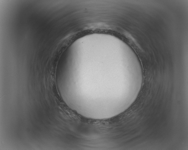 X0000082161063200702092212