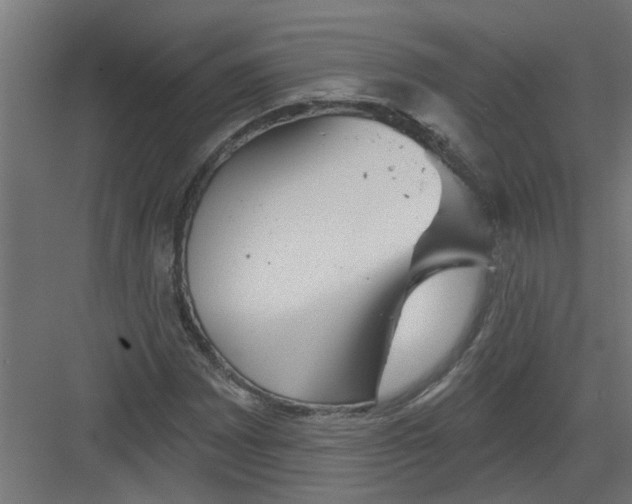 X0000082161065200702092212