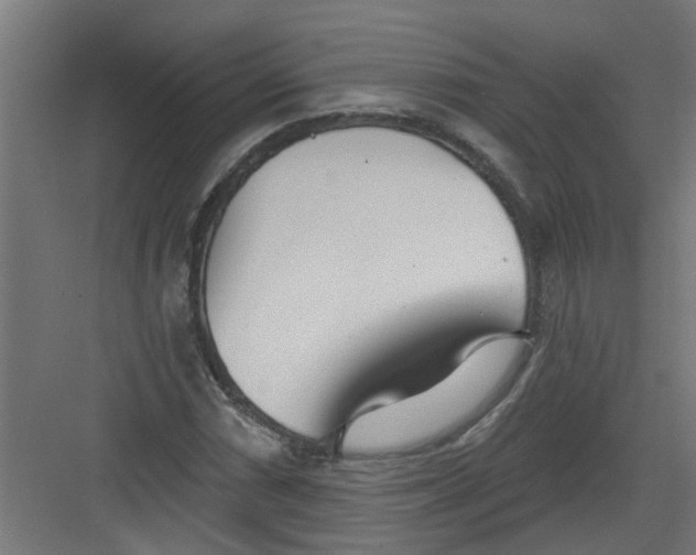 X0000082161066200702092212