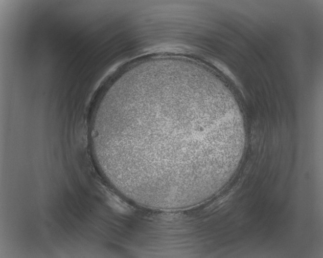 X0000082161067200702092212