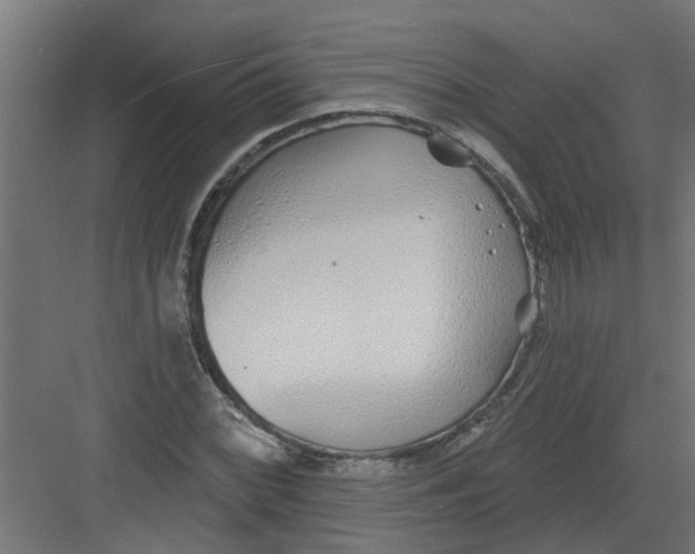 X0000082161068200702092212