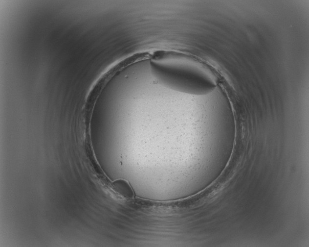 X0000082161069200702092212